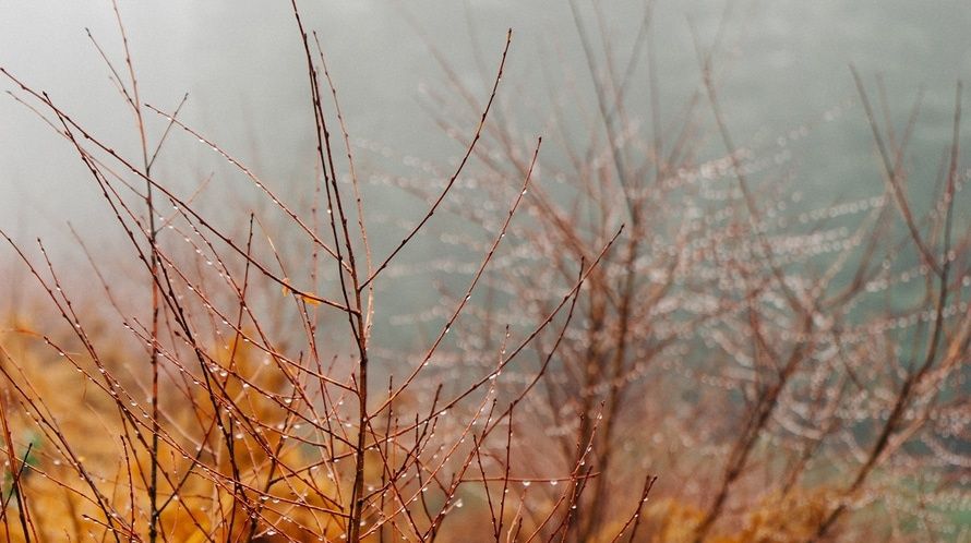Temperaturile vor scădea brusc! PROGNOZA METEO pentru marţi şi miercuri