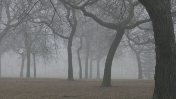 Atenţionare meteo. Cod galben de ceaţă. Izolat, condiţii de formare a poleiului