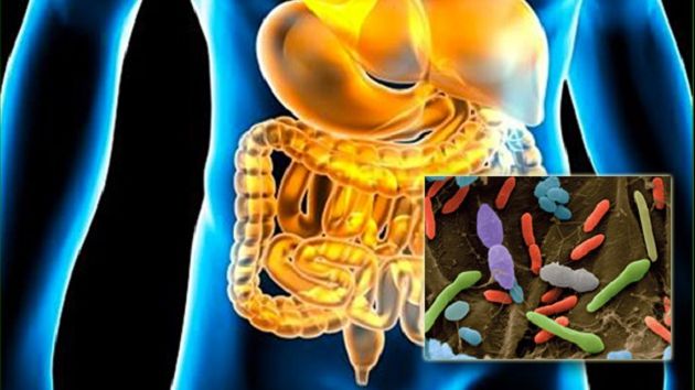Ai aceste simptome? Mergi la medic de urgenţă! Ai putea avea paraziţi intestinali