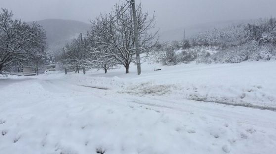 ALERTĂ METEO. Cod galben de ninsori şi VÂNT puternic în 12 județe