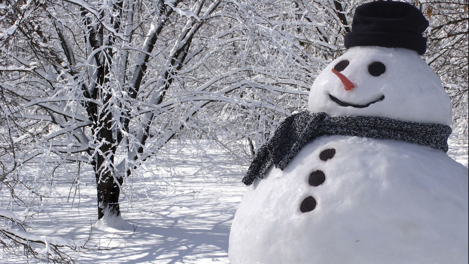 Vremea se schimbă din a doua zi de Crăciun. Prognoza meteo pentru luni și marți