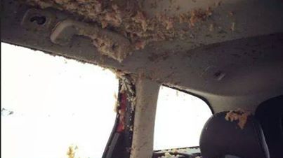 De ce să nu laşi o doză de suc în maşină atunci când este ger 