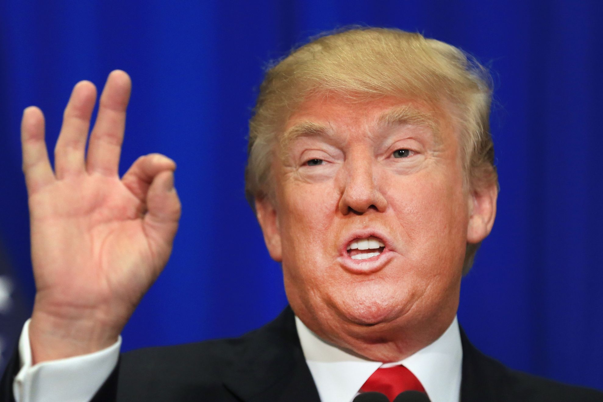 O specie de molie va fi botezată după Donald Trump pentru coafura unică a acestuia