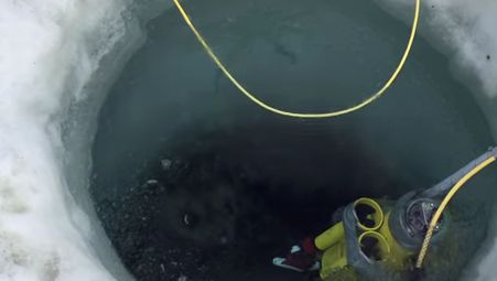 Imagini extraodinare! Ce a filmat un robot subacvatic sub Antarctica