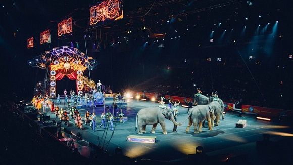 Managerul Circului Globus, demis de primarul Gabriela Firea