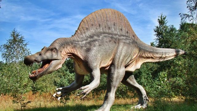 De ce mergeau DINOZAURII pe două picioare? Explicaţia uimitoare a paleontologilor