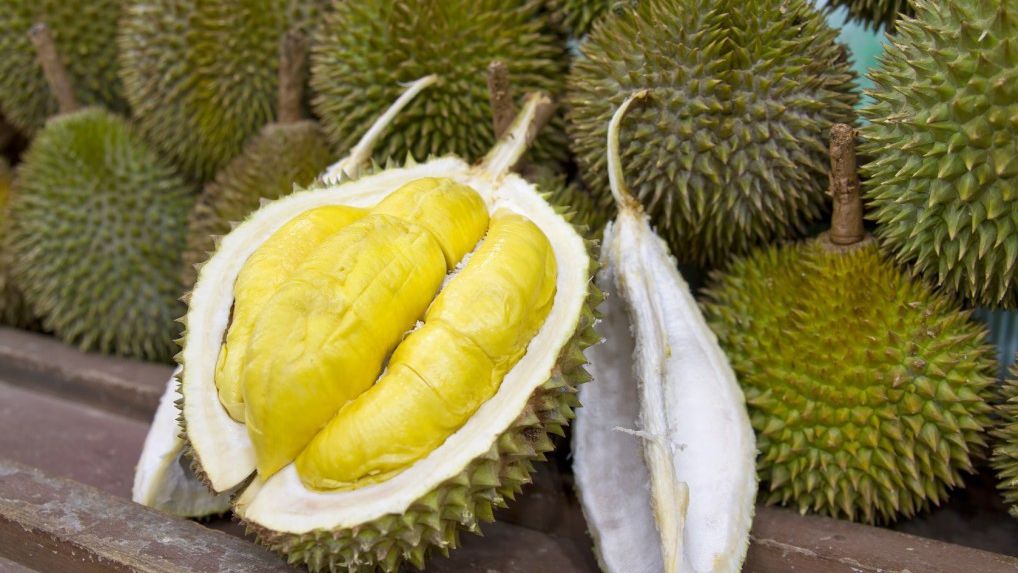 Adevărul despre fructul durian. Deşi miroase foarte urât, acesta are...