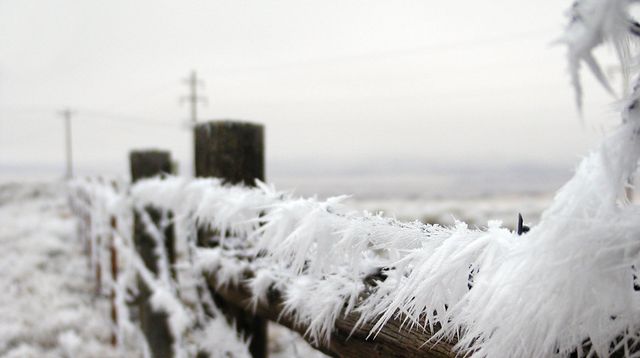 Gerul în Covasna! Bilet gratuit la teatru în schimbul unei cărți sau haine groase 
