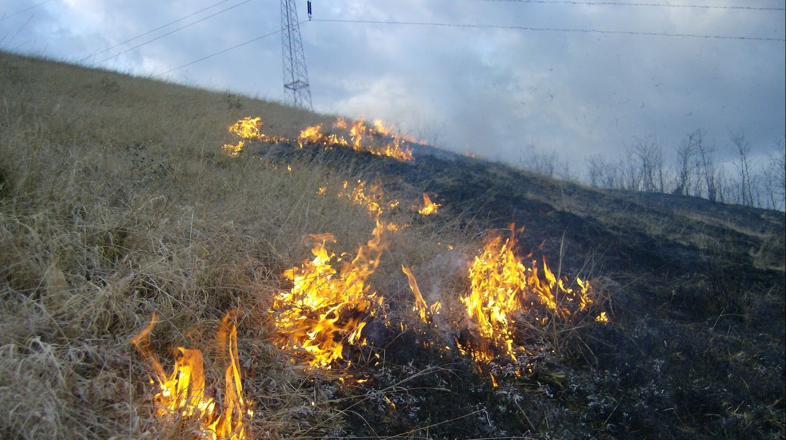  Şapte incendii de vegetație au afectat nouă proprietăți în Argeş 