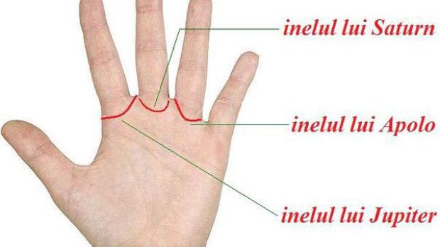 Inelele mistice din palme. Ce reprezintă acestea și ce spun despre tine. E uimitor