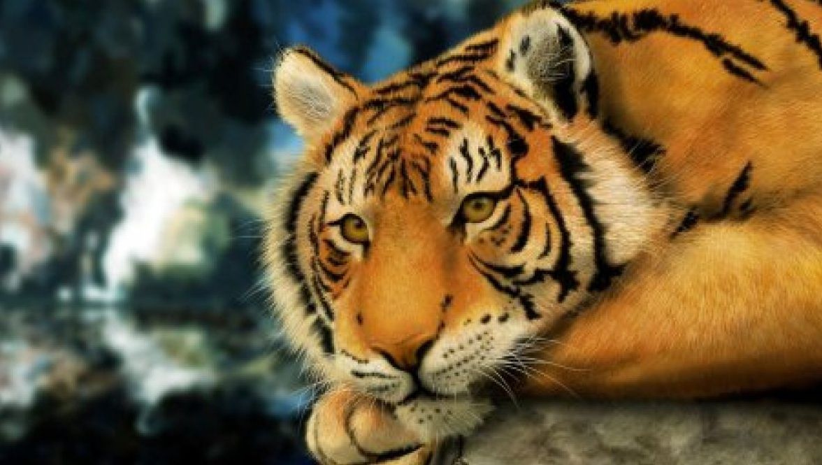 Cea mai mare felină din lume, dispărută acum 57 de ani din cauza Rusiei, va fi readusă la viaţă