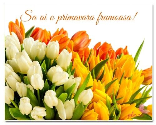 MESAJE DE 1 MARTIE. Urări şi felicitări frumoase, sms-uri de mărţişor şi cu ocazia venirii primăveri
