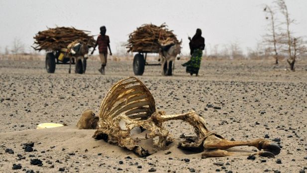 Dezastru în Kenya. Preşedintele declară stare de urgenţă