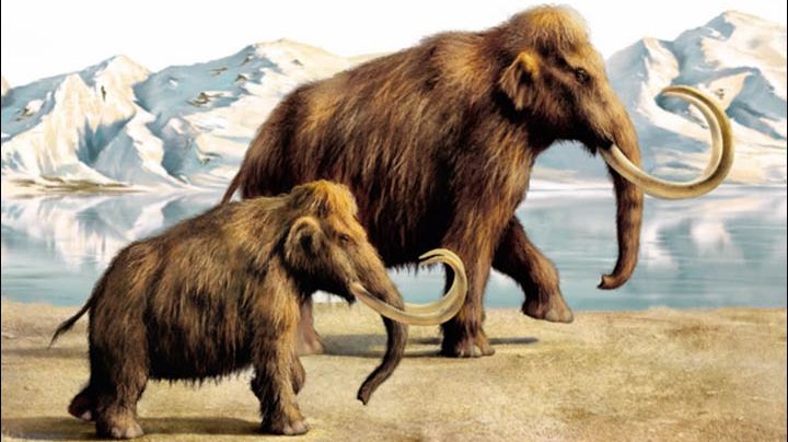 Un monstru preistoric va fi readus la viață. Află ce planuri au cercetătorii de la Harvard