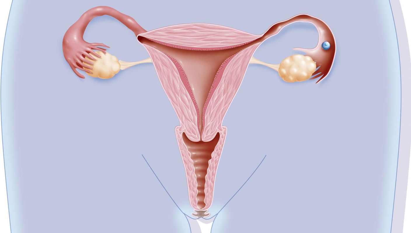 Ce se întâmplă cu vaginul tău dacă nu ai activitate sexuală. Toate femeile ar trebui să ştie asta