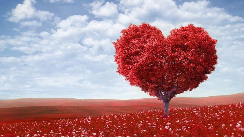 Prima ţară din lume care interzice Valentine's Day