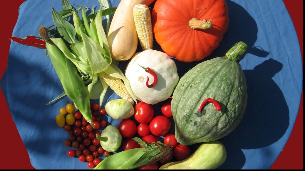 Alimentele, privite la microscop: nu ai văzut niciodată așa ceva! Imagini fascinante