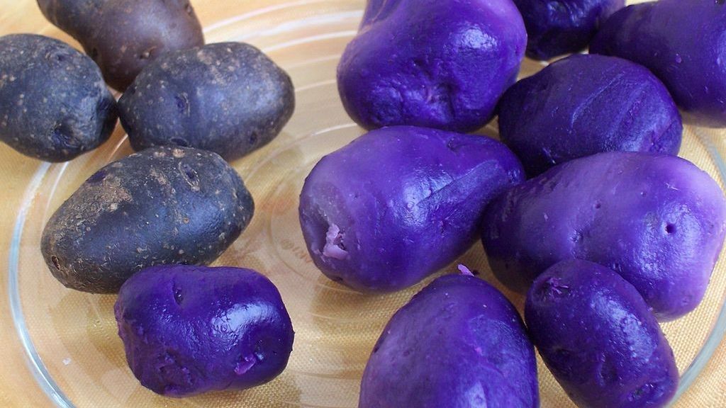 Afacerea cartofului mov în România. Un profit cu multe zerouri 