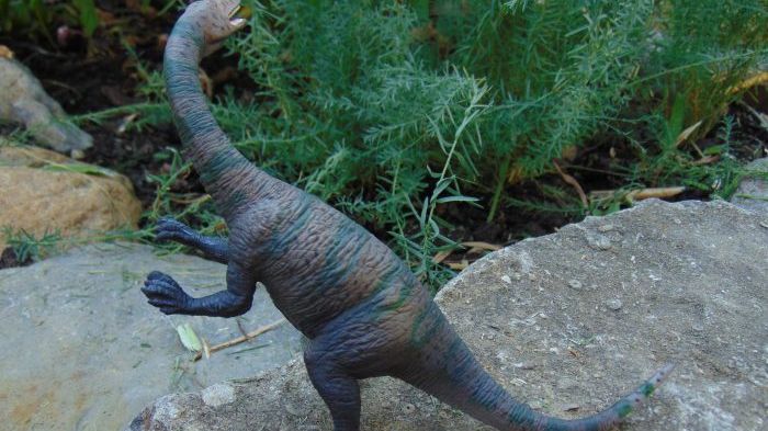 Au găsit rămăşiţele unui DINOZAUR îngropat în urmă cu 195 de milioane de ani. ŞOC ce au aflat