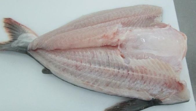 Adevărul crud despre pangasius. Nu este un peşte destinat consumului 