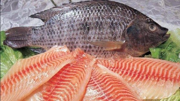 Peştele pe care nu ar trebui să-l mai consumi vreodată! Este hrănit cu fecale de pui