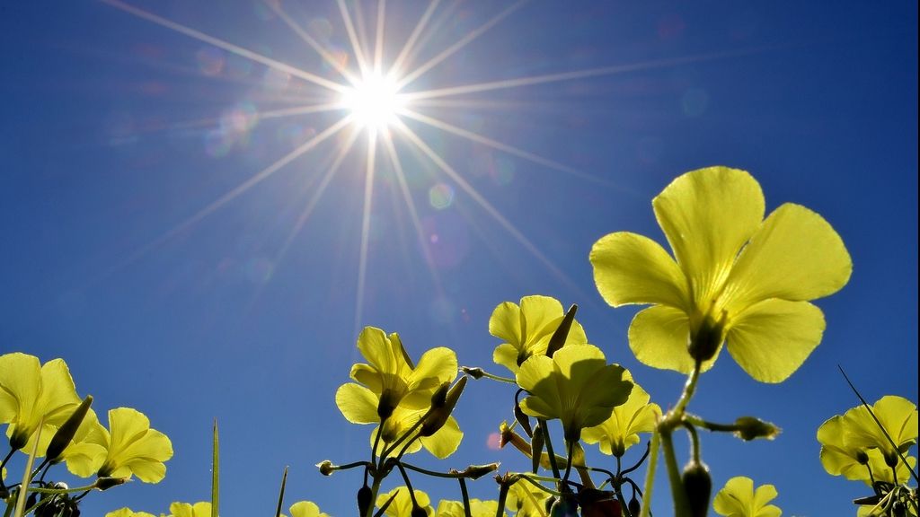 Vremea se încălzește și mai mult. Ce temperaturi vom avea în weekend