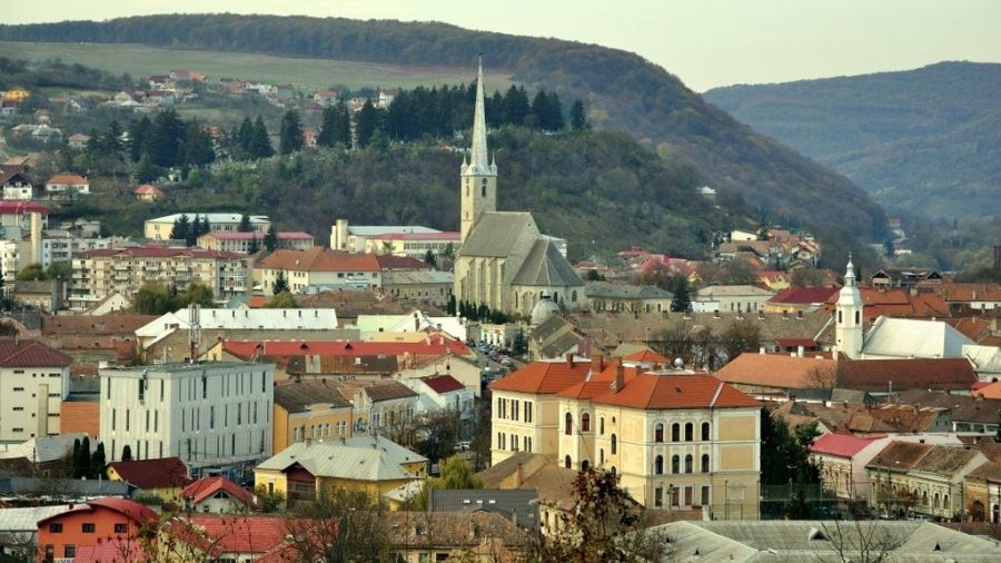 Panică în Dej! Oamenii s-au speriat la când au văzut această ”fiară”. Jandarmeria a intervenit