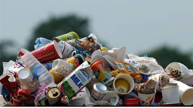 Omida asta ar putea salva planeta! Devorează cel mai rezistent tip de plastic