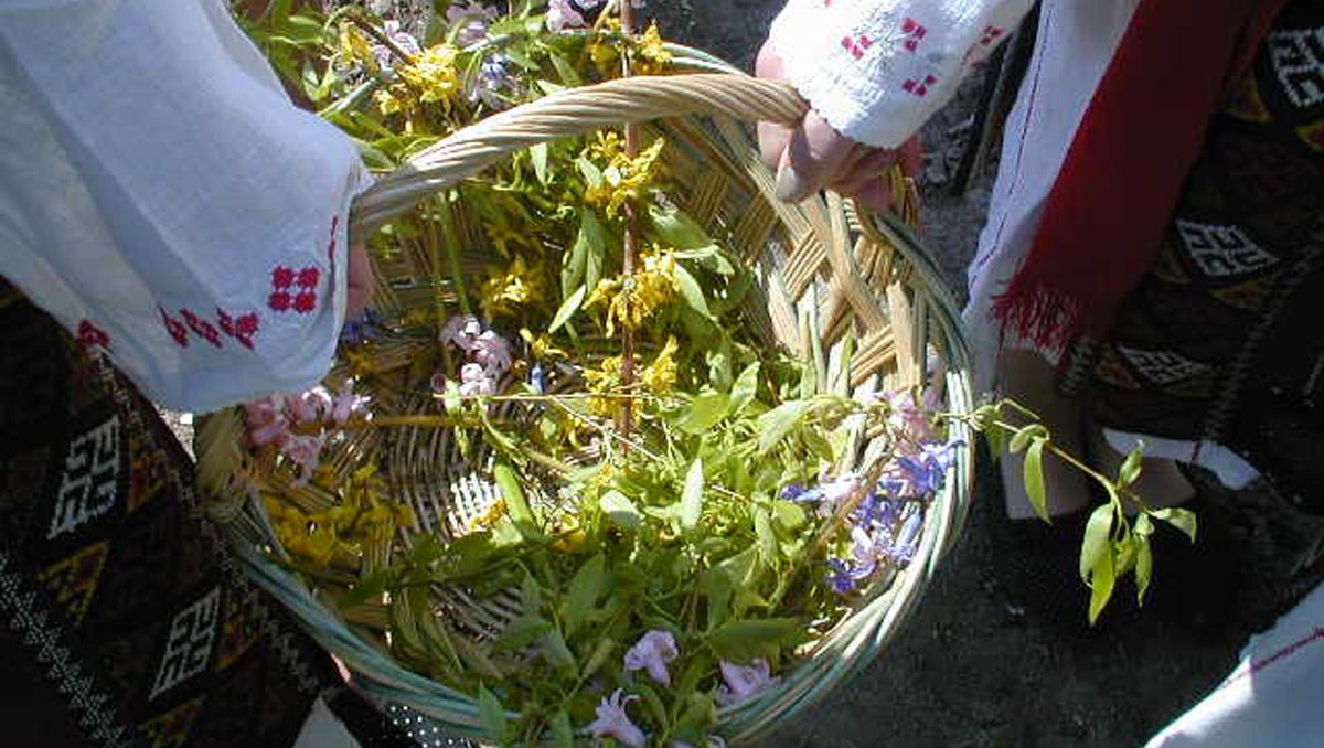 Floriile 2017 tradiţii şi obiceiuri. Ce semnifică salcia sfiinţită de FLORII