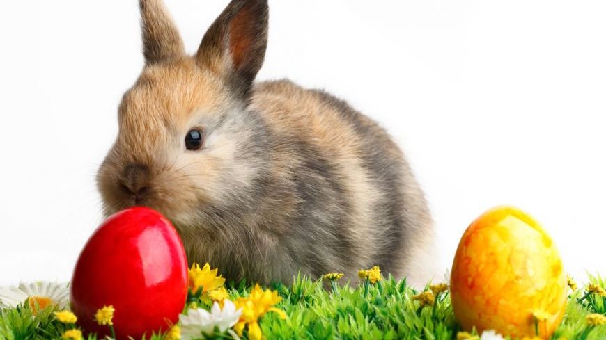 Istoria Iepurașului de Paște. Cum a apărut și ce reprezintă de fapt