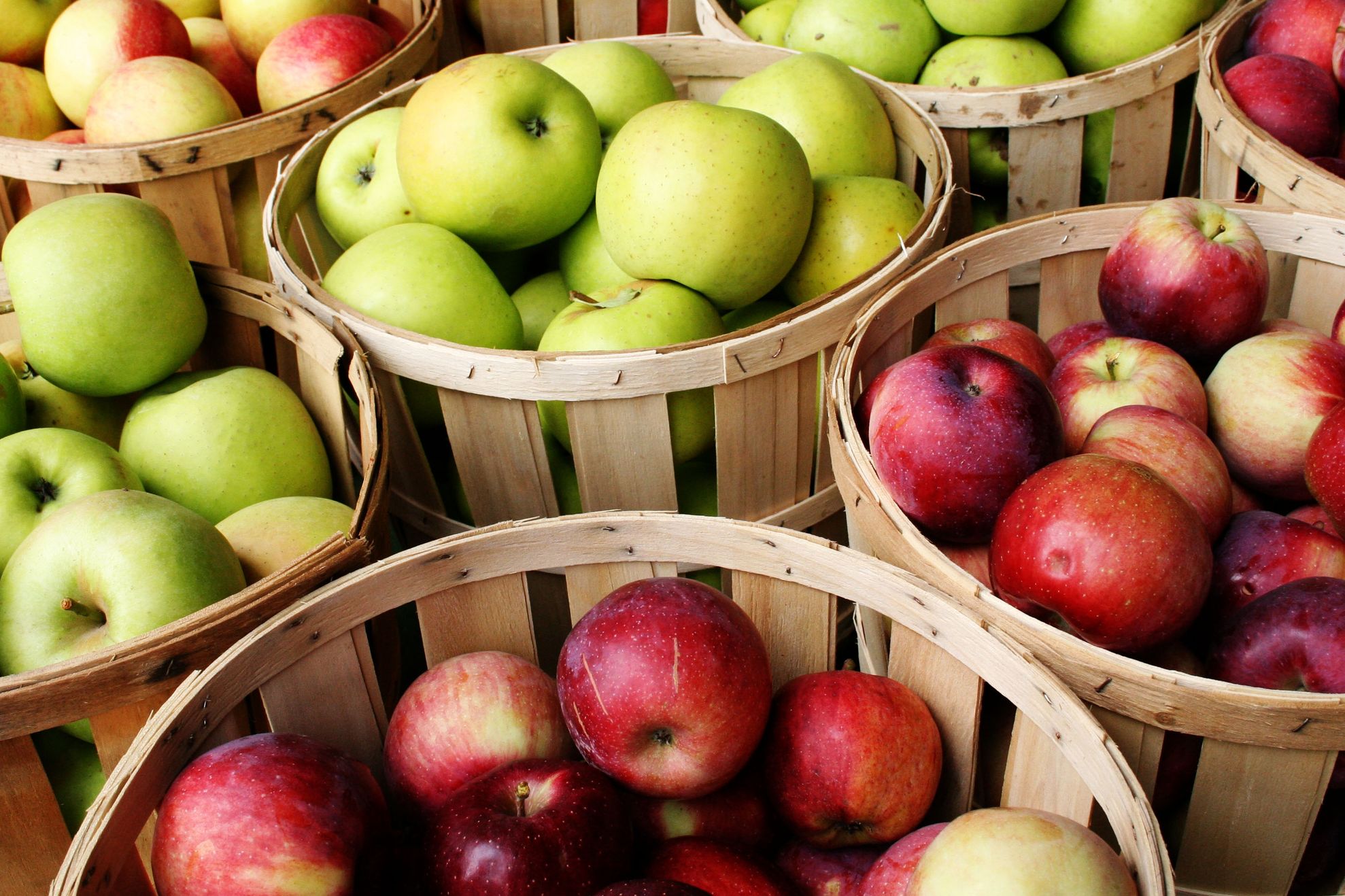 Când sunt culese de fapt merele care se vând în supermarket