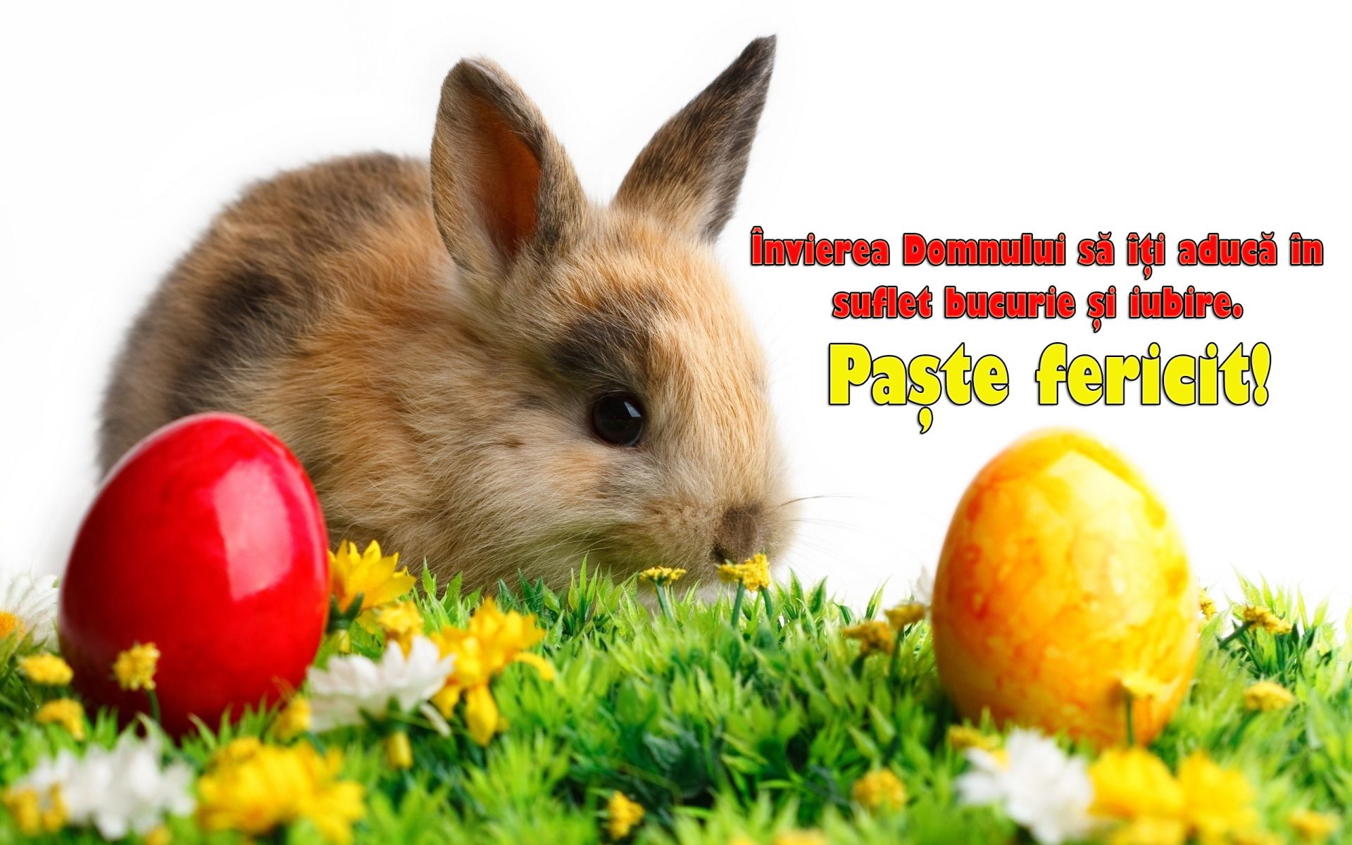 PAŞTE FERICIT. Mesaje frumoase cu Paşte Fericit şi Hristos a Înviat!
