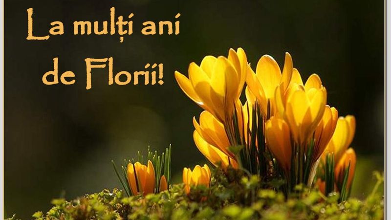 Mesaje de FLORII. Felicitări şi SMS-uri pentru părinți, prieteni, rude și colegi