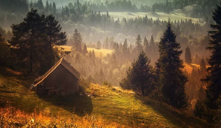 Cele mai frumoase căsuţe din mijlocul pustietăţii, în care ne-am dori cu toţii să locuim