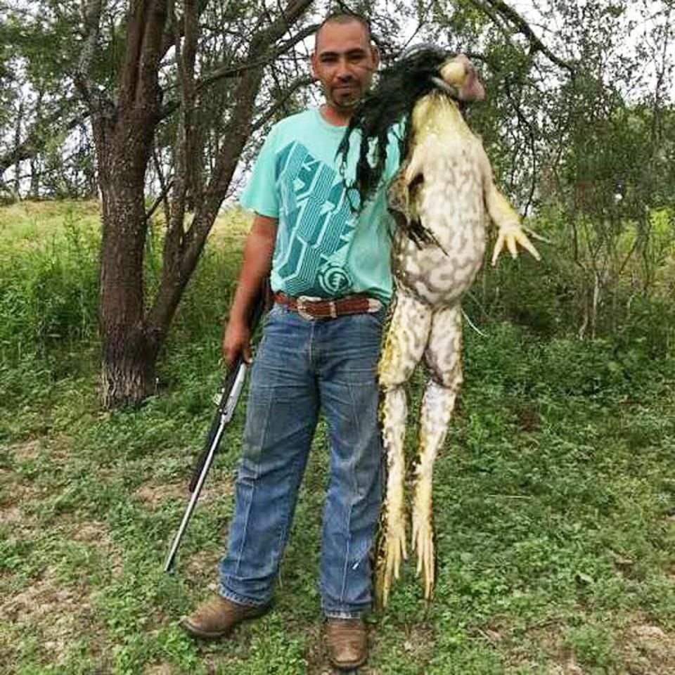 Un bărbat se mândreşte că a prins o broască uriaşă. Care este adevărul din spatele imaginilor?