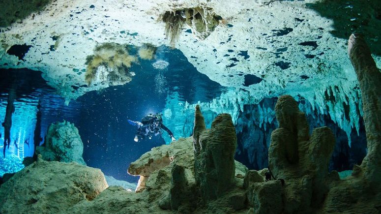 Descoperire electrizantă în adâncurile oceanului. Savanții sunt siderați
