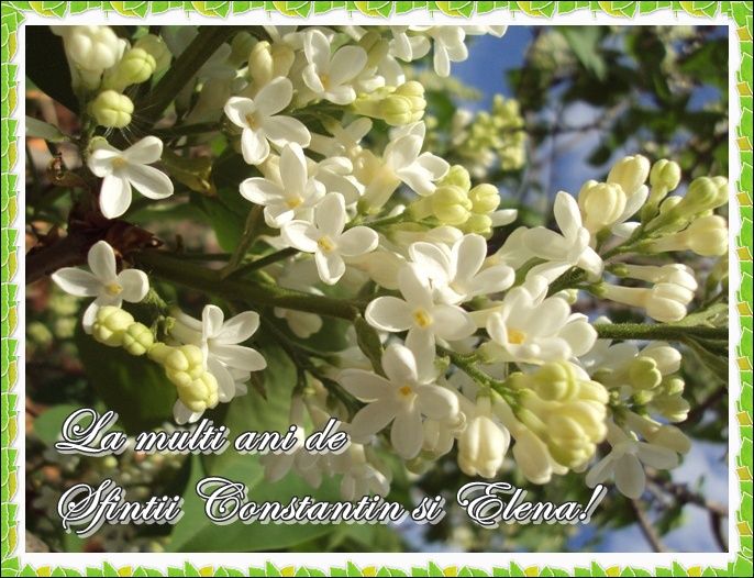 FELICITĂRI CONSTANTIN ŞI ELENA. Cele mai frumoase imagini cu text pentru Elena şi Constantin