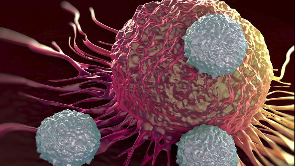 Acesta este alimentul care omoară celulele canceroase