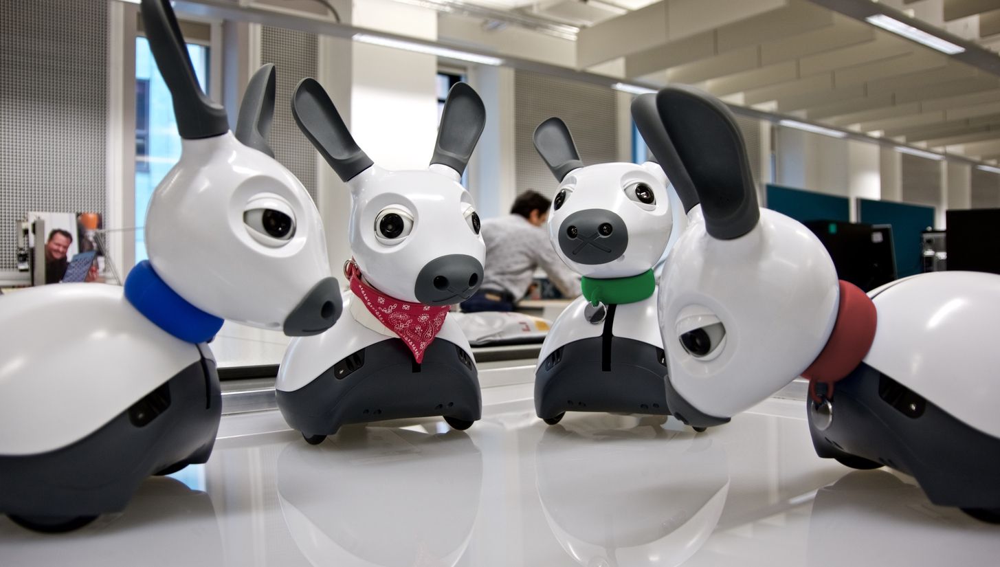 MiRo, robo-câinele care sare în ajutorul bătrânilor. Ce avantaje are invenția