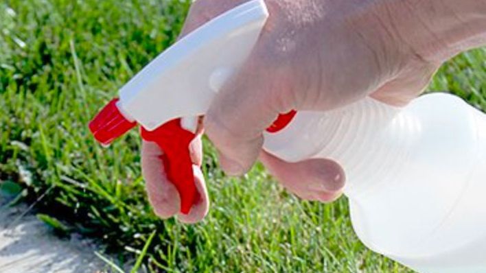 Această femeie stropeşte cu oţet toate plantele din grădină. Află-i secretul