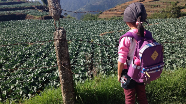 S-a sinucis la 12 ani, îngrozind familia. Au incinerat-o și..au găsit biletul. Șoc: era prea târziu 