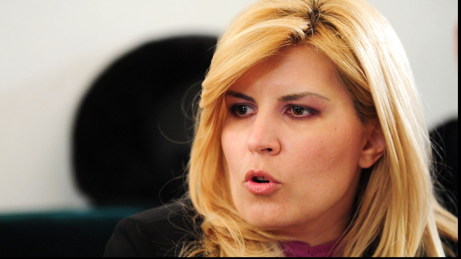 Elena Udrea, în fața instanței: L-am rugat pe Dorin Cocoș să dea bani la PDL