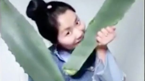 S-a filmat mâncând aloe-vera. Un detaliu i-a speriat pe cei ce-o priveau. ”Mergi la spital acum!”