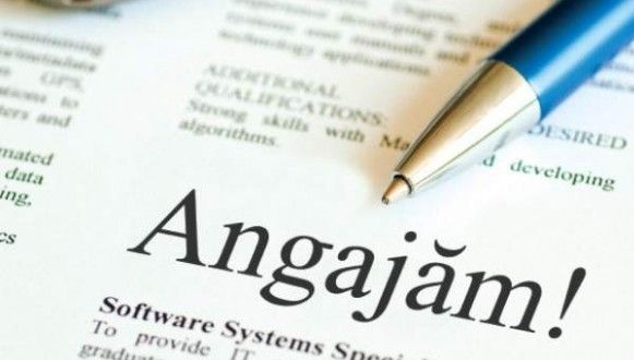 Era şomer, nimeni nu-l angaja. Dar a schimbat o singură literă din CV şi a găsit job-ul vieţii