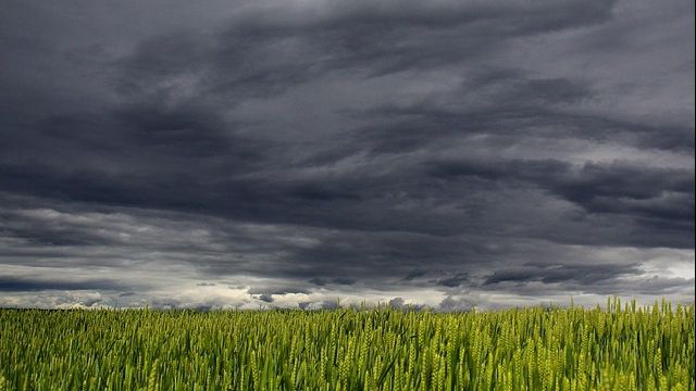 Vremea în weekend. Se răcește semnificativ și vin furtunile 
