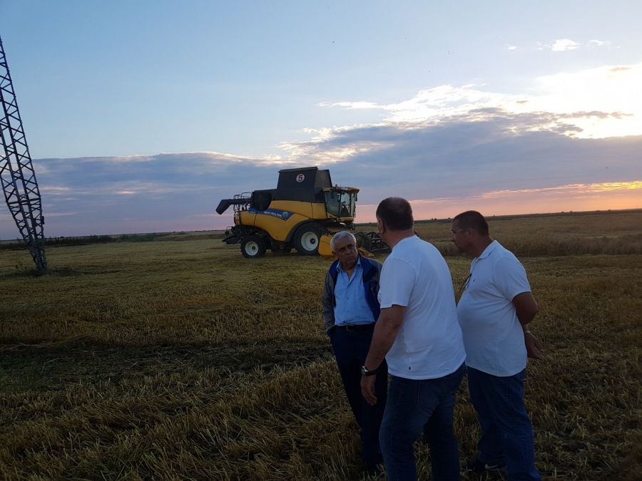 Petre Daea revine: "Oaia are dorinţa să fie înţeleasă de toţi. Oaia a unit generaţii, ne-a îmbrăcat"