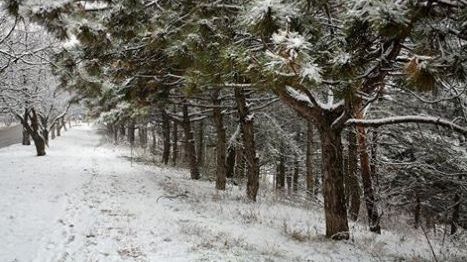Vremea o ia razna! Meteorologii nu mai înţeleg nimic. NINSORI la început de vară