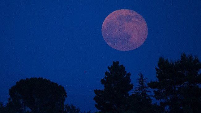 Cum influenţează solstiţiul de vară viaţa zodiilor