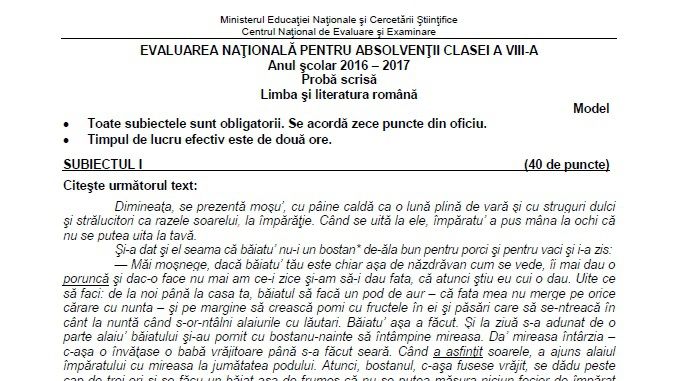 Subiecte Evaluare Naţională 2017 Română. Cum vor arăta subiectele la Română la EVALUARE 2017