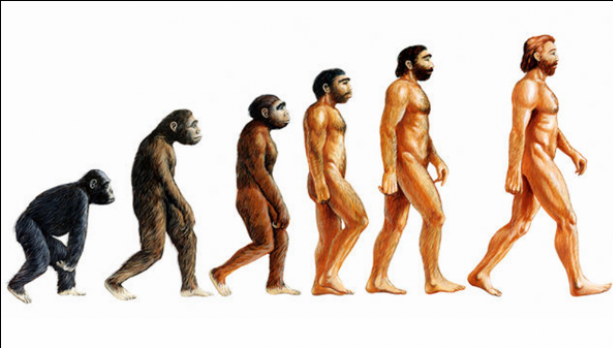 Turcia a scos din programa școlară teoria evoluției